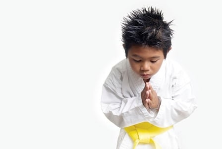 Martial Arts For Munchkins