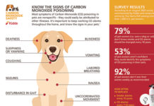 Understanding the Signs of Carbon Monoxide Poisoning in Pets